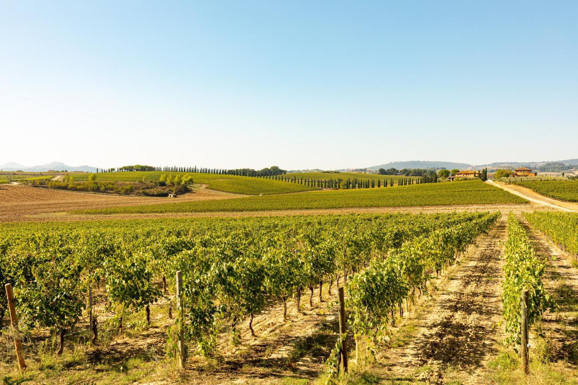 Vermentino Montepulciano Exterior foto