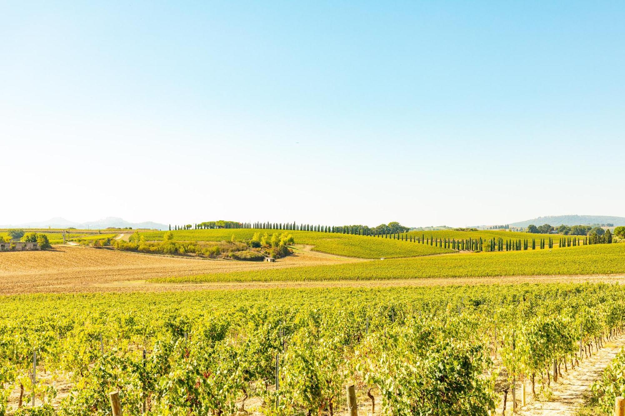 Vermentino Montepulciano Exterior foto