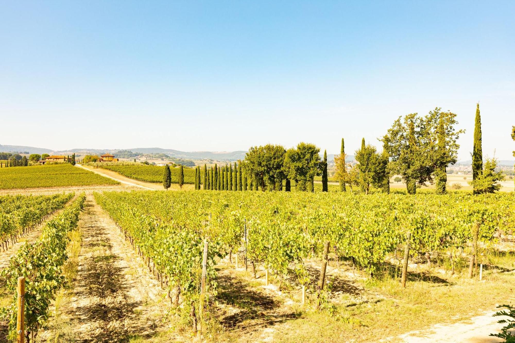 Vermentino Montepulciano Exterior foto